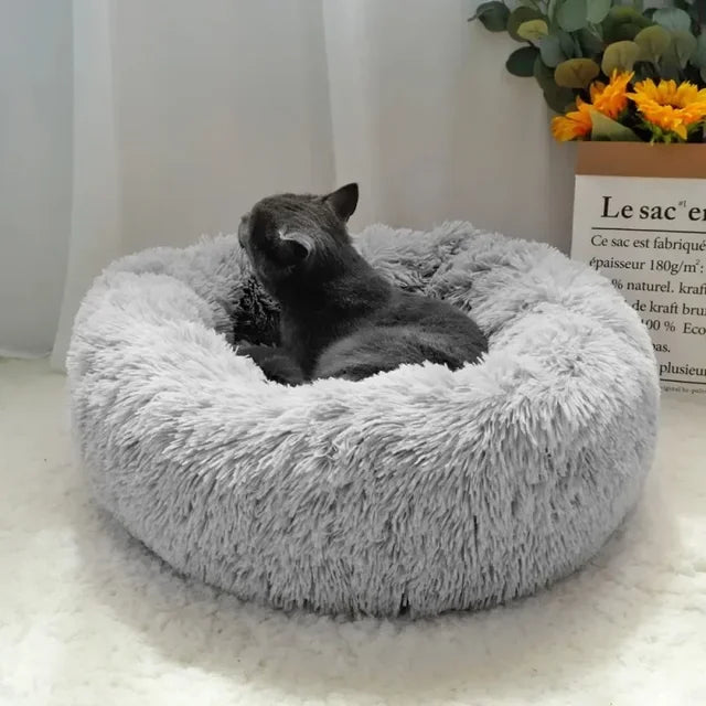 Patut Câine și Pisici