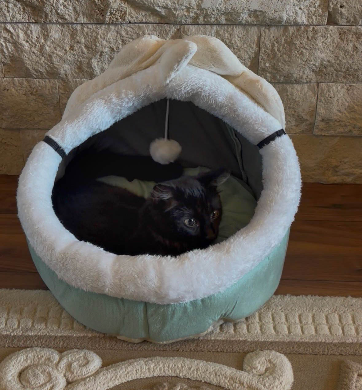 Culcuș Sigur, Moale și Călduros pentru Pisici