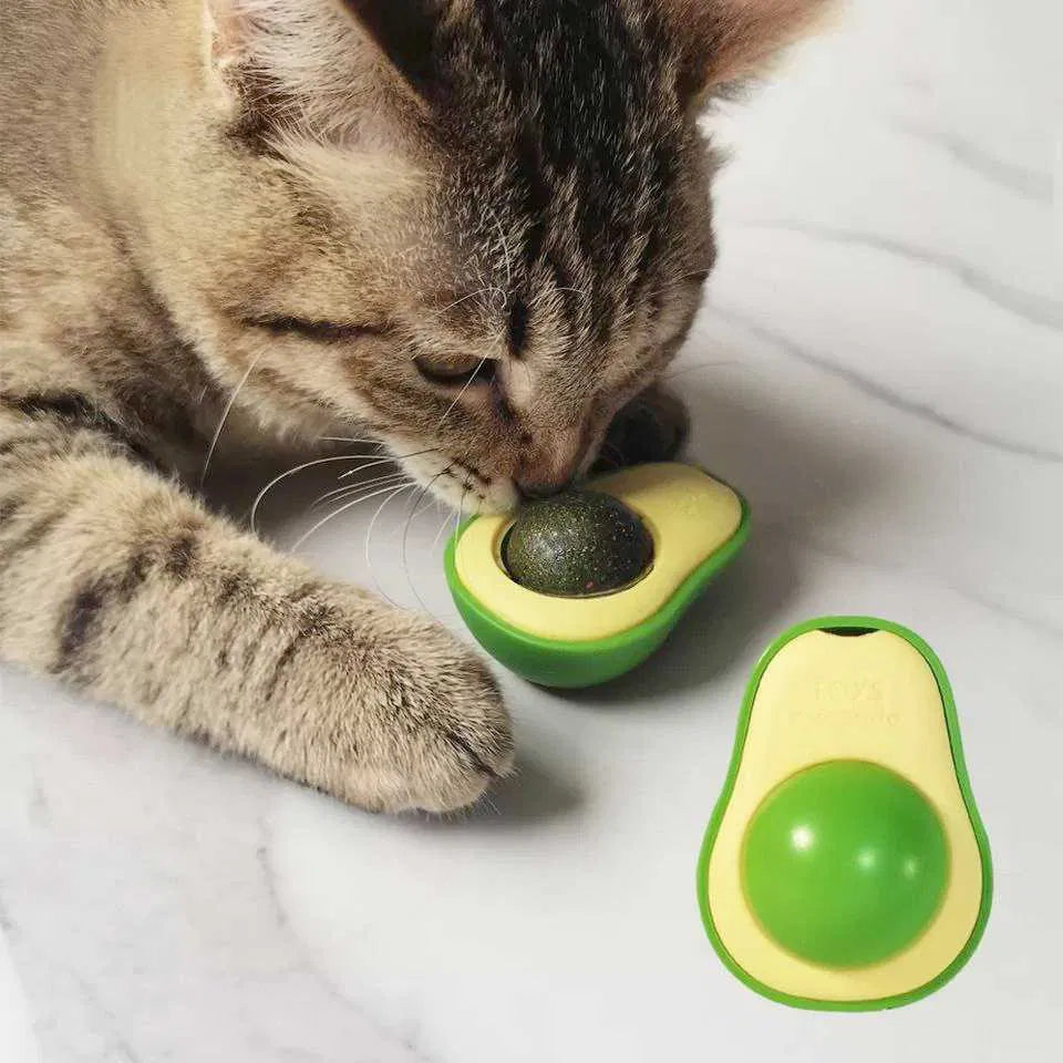 Jucarie Avocado Pisici